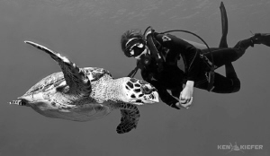 My lovely wife Kimber taking some underwater modeling tip... by Ken Kiefer 